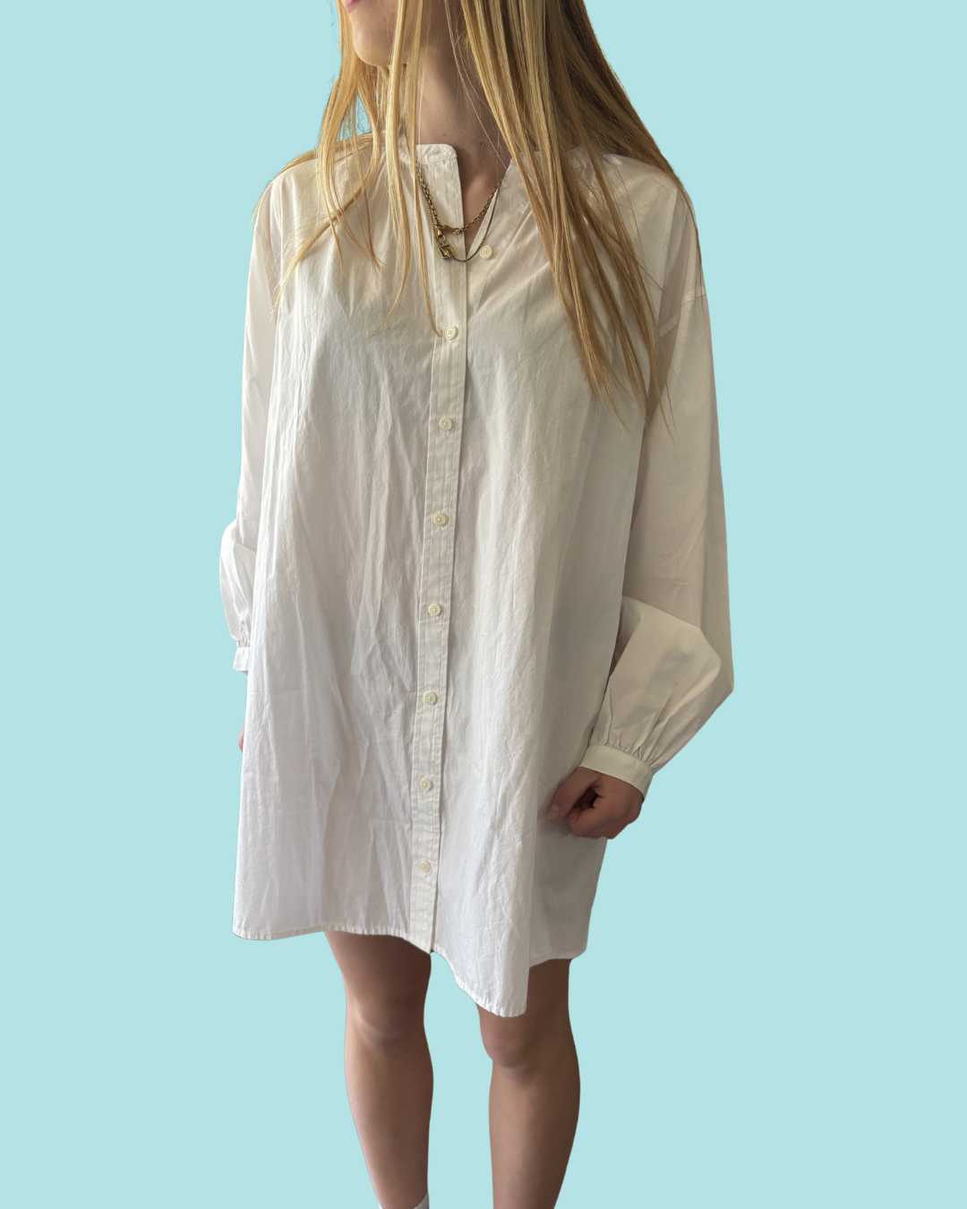 Wilfred Free Tanaro Poplin Dress NWT S