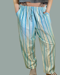 Erika Cotton Blend Easy Pant 1X