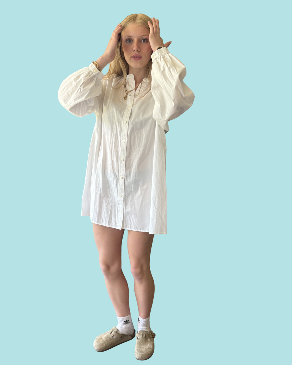 Wilfred Free Tanaro Poplin Dress NWT S