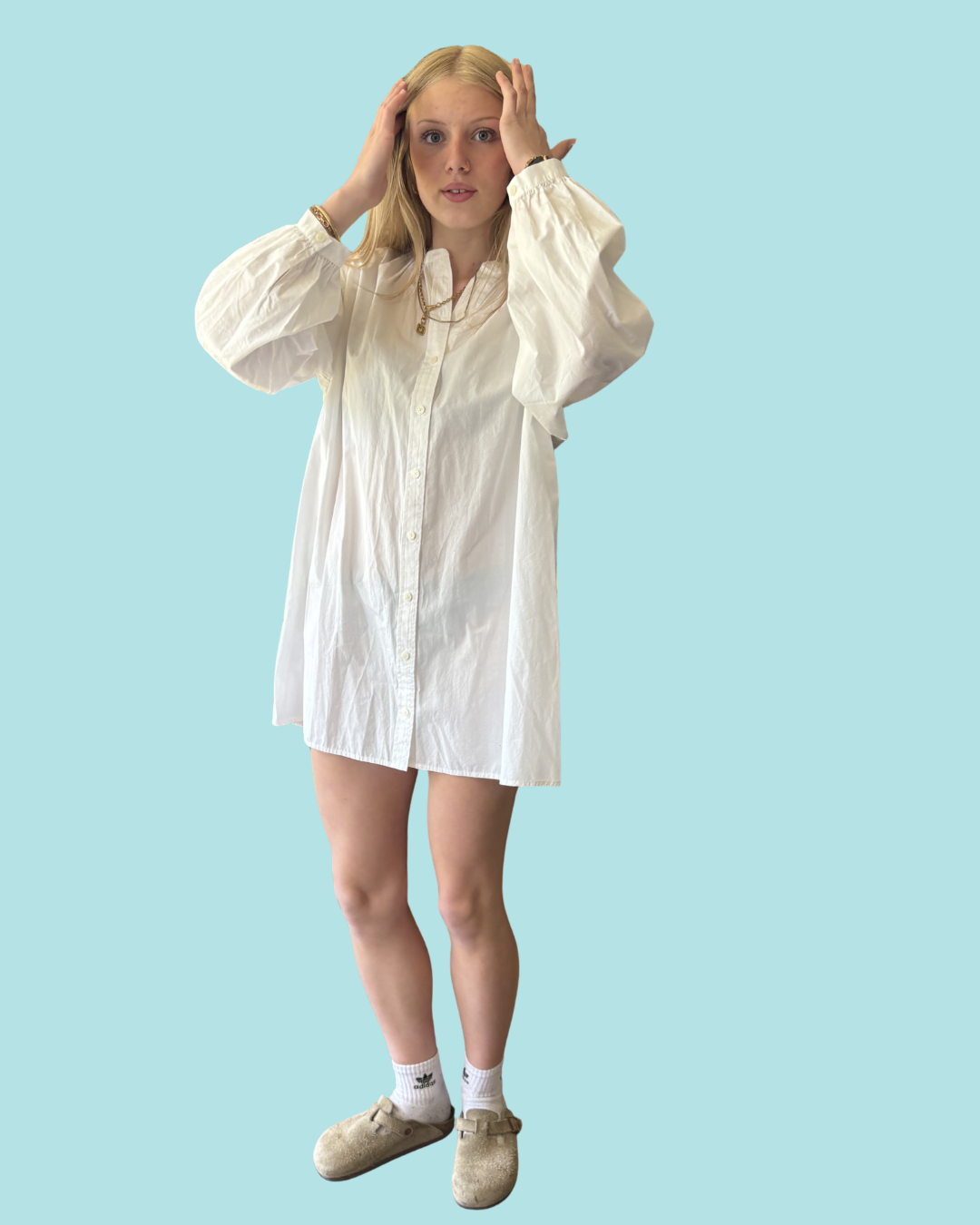Wilfred Free Tanaro Poplin Dress NWT S