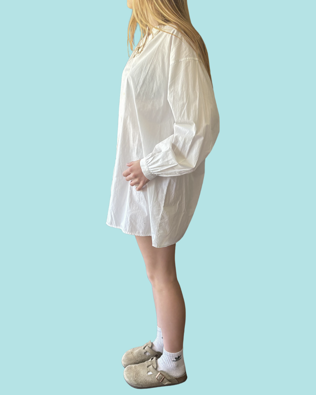 Wilfred Free Tanaro Poplin Dress NWT S