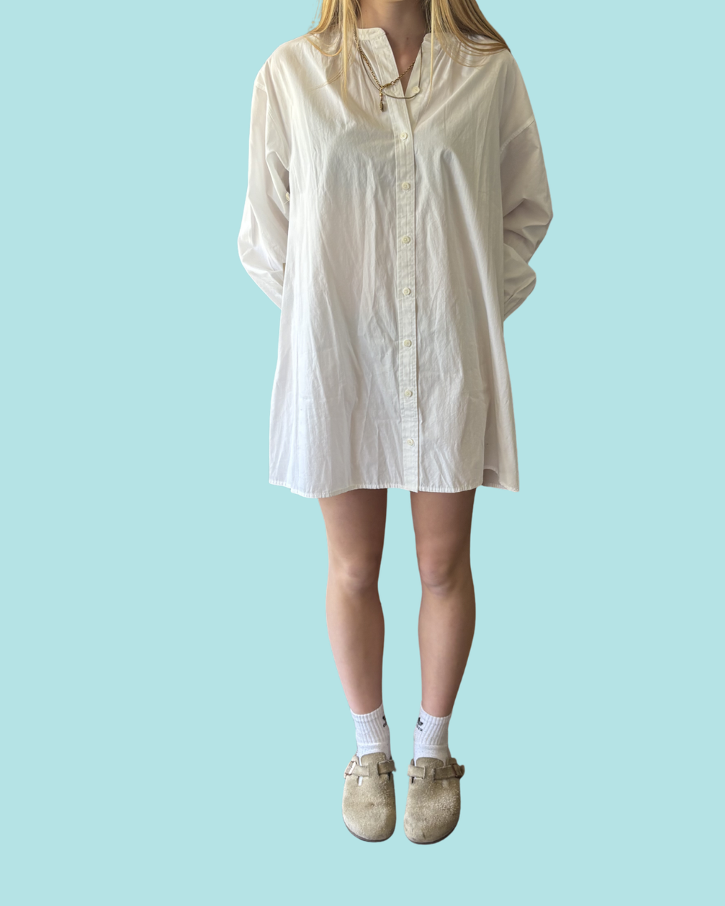 Wilfred Free Tanaro Poplin Dress NWT S